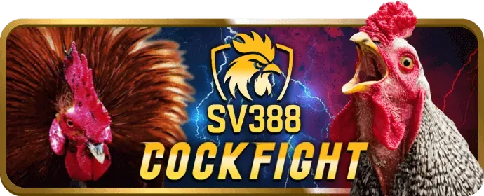 Thăng cấp VIP vin77 code